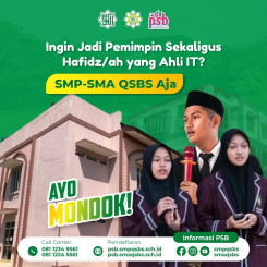 QSBS